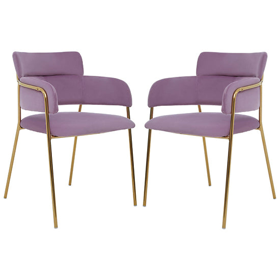 Tamzin Pink Velvet Dining Chairs With Gold Legs In Pair