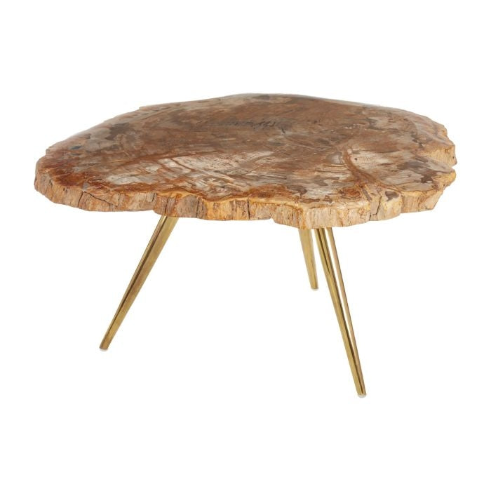 Ripley Petrified Wood Coffee Table In Natural With Gold Metal Legs