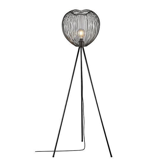 Dollis 1 Bulb Wire Birdcage Effect Floor Lamp In Matt Black